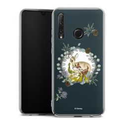 Skyddskal genomskinlig