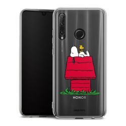 Skyddskal genomskinlig