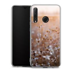 Skyddskal genomskinlig