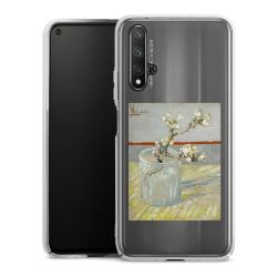 Skyddskal genomskinlig