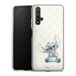 Skyddskal genomskinlig