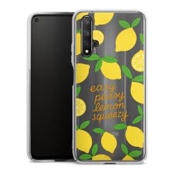 Hard Case transparent