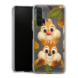 Skyddskal genomskinlig