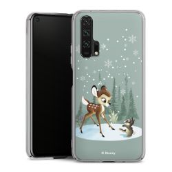 Skyddskal genomskinlig