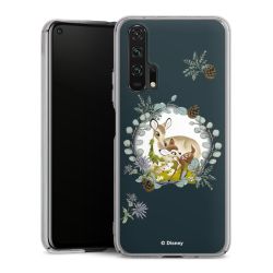 Skyddskal genomskinlig