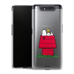 Skyddskal genomskinlig