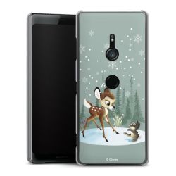 Skyddskal genomskinlig