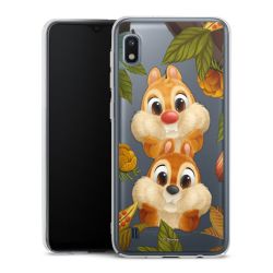 Skyddskal genomskinlig