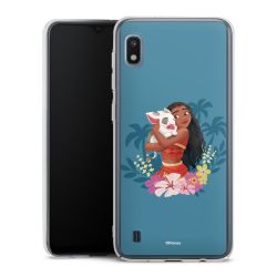 Skyddskal genomskinlig