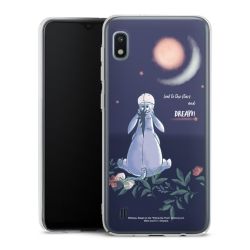 Skyddskal genomskinlig