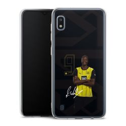 Skyddskal genomskinlig