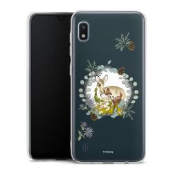 Skyddskal genomskinlig