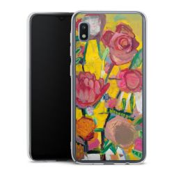 Skyddskal genomskinlig