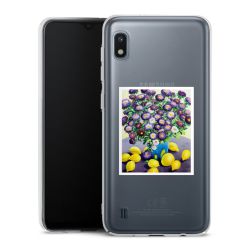 Skyddskal genomskinlig