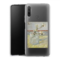 Skyddskal genomskinlig