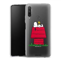 Hard Case transparent