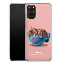 Skyddskal genomskinlig