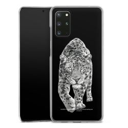 Skyddskal genomskinlig