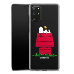 Skyddskal genomskinlig