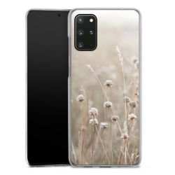 Skyddskal genomskinlig