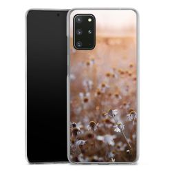 Skyddskal genomskinlig