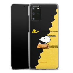 Skyddskal genomskinlig