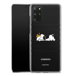 Skyddskal genomskinlig