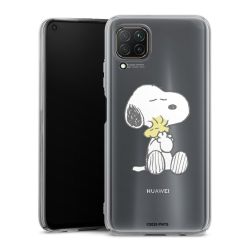 Skyddskal genomskinlig