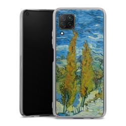 Skyddskal genomskinlig