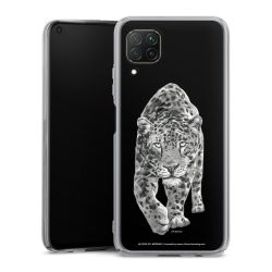 Skyddskal genomskinlig