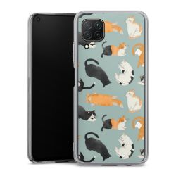 Skyddskal genomskinlig