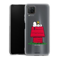 Skyddskal genomskinlig