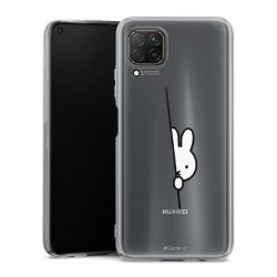 Skyddskal genomskinlig