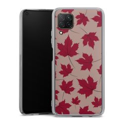 Skyddskal genomskinlig