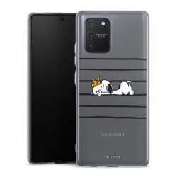 Hard Case transparent