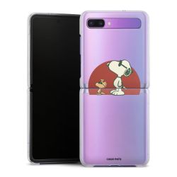 Hard Case transparent