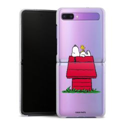 Hard Case transparent