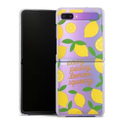 Hard Case transparent