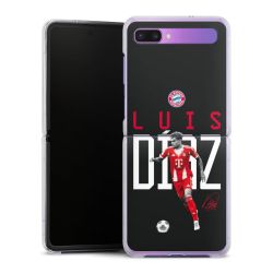 Hard Case transparent