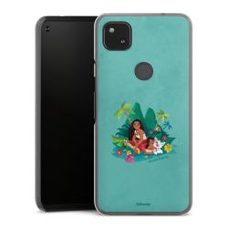 Hard Case transparent