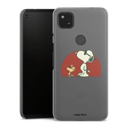 Hard Case transparent