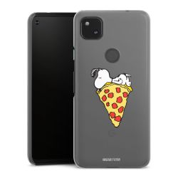 Hard Case transparent