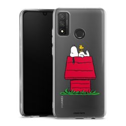 Skyddskal genomskinlig