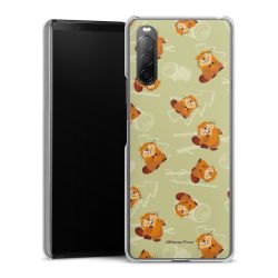 Skyddskal genomskinlig