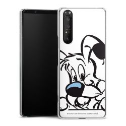 Hard Case transparent