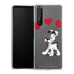 Hard Case transparent