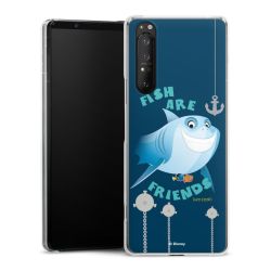 Skyddskal genomskinlig