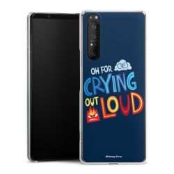 Skyddskal genomskinlig