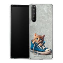 Skyddskal genomskinlig