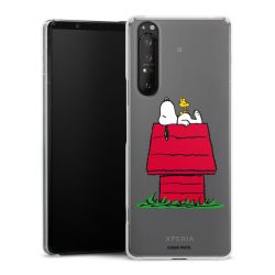 Suojakuori läpinäkyvä